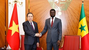 Củng cố t&#236;nh hữu nghị hai d&#226;n tộc Việt Nam - Senegal