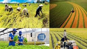 Công nghệ nội địa và bài toán tận dụng phụ phẩm nông nghiệp hiệu quả