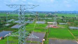 Thủ tướng chỉ đạo triển khai một số dự &#225;n thuộc tỉnh Ph&#250; Thọ