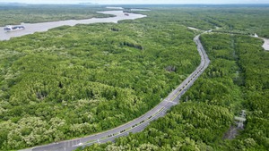 Quy định chi tiết thi h&#224;nh một số điều của Luật L&#226;m nghiệp