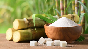 Nghi&#234;n cứu hỗ trợ doanh nghiệp m&#237;a đường duy tr&#236; sản xuất bền vững