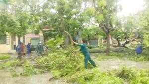 Nghệ An khẩn trương khắc phục hậu quả nặng nề sau b&#227;o số 5 Kajiki