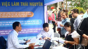 Kế hoạch triển khai thi h&#224;nh Luật Việc l&#224;m