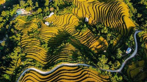 V&#249;ng văn h&#243;a T&#224;y dưới ch&#226;n đỉnh T&#226;y C&#244;n Lĩnh