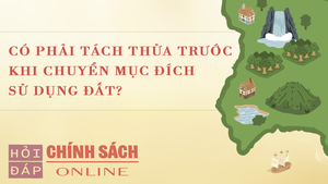 C&#243; phải t&#225;ch thửa trước khi chuyển mục đ&#237;ch sử dụng đất?
