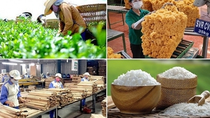 Mở rộng thị trường, thúc đẩy xuất khẩu hàng hóa những tháng cuối năm