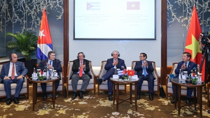 Việt Nam - Cuba: Hiện thực ho&#225; tiềm năng th&#224;nh dự &#225;n kinh tế cụ thể