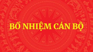 Thủ tướng quyết định bổ nhiệm l&#227;nh đạo một số bộ, cơ quan