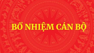 Thủ tướng bổ nhiệm l&#227;nh đạo:  Y tế, Tư ph&#225;p, Khoa học v&#224; C&#244;ng nghệ, Thanh tra Ch&#237;nh phủ