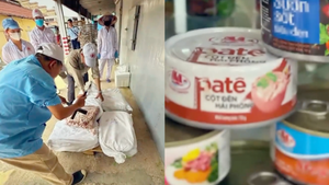 Khởi tố Tổng giám đốc Công ty cổ phần Đồ hộp Hạ Long