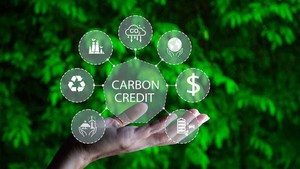 Đăng ký, cấp mã trong nước hạn ngạch tín chỉ các-bon