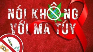 Triển khai thi hành Luật Phòng, chống ma tuý