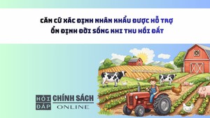 Căn cứ xác định nhân khẩu được hỗ trợ ổn định đời sống khi thu hồi đất