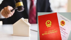 Người trúng đấu giá đất không nộp tiền sẽ bị cấm tới 5 năm