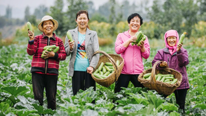 Phụ nữ nông thôn làm chủ tri thức, công nghệ và thị trường