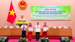 Hà Nội: Đô thị hóa phải gắn với bảo đảm sinh kế lâu dài cho nông dân