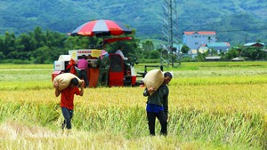 Ban Chỉ đạo Trung ương thực hiện Chương trình mục tiêu quốc gia giai đoạn 2026 - 2035