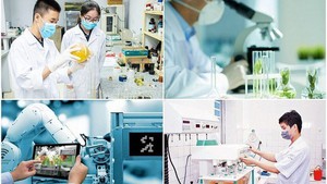 Cơ chế mới thu hút chuyên gia, tài năng trẻ trong lĩnh vực dữ liệu và đổi mới sáng tạo