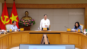 Khẩn trương hoàn thiện biểu trưng APEC Việt Nam 2027