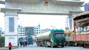 Quy định mới về thủ tục hải quan với hàng hóa mua gom của cư dân biên giới
