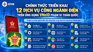 Triển khai toàn quốc 12 dịch vụ công ngành điện trên VNeID
