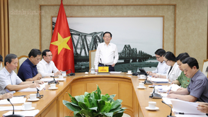 Khẩn trương hoàn thiện Nghị định hướng dẫn thi hành Luật Tín ngưỡng, tôn giáo