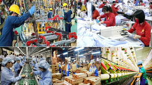 Hỗ trợ doanh nghiệp tư nhân tiếp cận chuỗi, cụm liên kết quốc tế