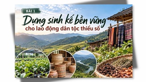 Dựng sinh kế bền vững cho lao động dân tộc thiểu số (BÀI 1)