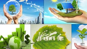 Bổ sung giải pháp ứng phó biến đổi khí hậu vào Đề án Cải thiện xếp hạng tín nhiệm quốc gia tới năm 2030