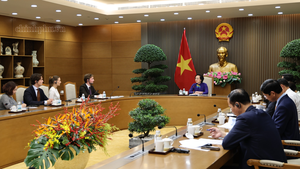 Nghiên cứu mô hình tàu bệnh viện tại Phú Quốc hướng tới mục tiêu lâu dài