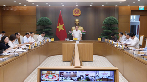Bảo đảm tiến độ, hiệu quả sắp xếp cơ sở giáo dục và xây trường nội trú liên cấp