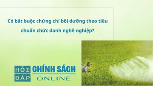 Có bắt buộc chứng chỉ bồi dưỡng theo tiêu chuẩn chức danh nghề nghiệp