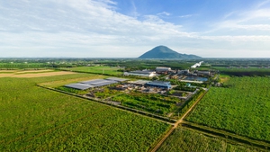 Biến tiêu chuẩn ESG thành lợi thế cạnh tranh của nông nghiệp Việt