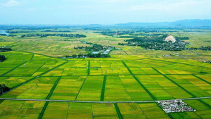 Quy định về phân cấp, phân quyền, phân định thẩm quyền trong lĩnh vực đất đai