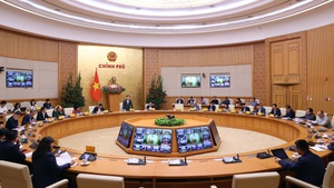 Chuẩn bị hồ sơ, sẵn sàng cho đợt kiểm tra của EC về gỡ 'thẻ vàng' IUU