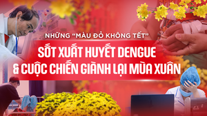 Longform: Những “màu đỏ không Tết” do sốt xuất huyết Dengue và cuộc chiến giành lại mùa xuân