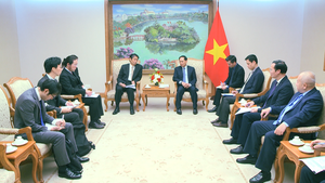 Phó Thủ tướng Bùi Thanh Sơn tiếp Đại sứ Nhật Bản tại Việt Nam