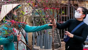 Dịp Tết Nguyên đán: Thời tiết thuận lợi trên cả nước