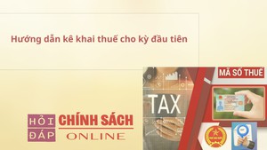 Hướng dẫn kê khai thuế cho kỳ đầu tiên