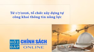 Từ 1/7/2026, tổ chức xây dựng tự công khai thông tin năng lực