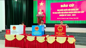 Từ miền núi đến hải đảo: Cử tri hân hoan đi bầu cử 