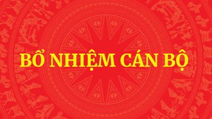 Ông Trần Đăng Quỳnh giữ chức Phó Bí thư tỉnh ủy Ninh Bình