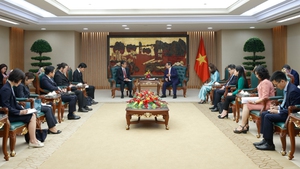 Thủ tướng tiếp Đại sứ Nhật Bản, Đại sứ UAE và Đại sứ Qatar về hợp tác năng lượng