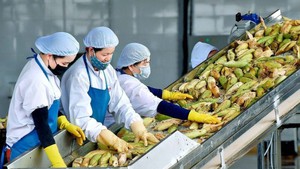 Xuất, nhập khẩu duy trì đà tăng trưởng tích cực trong hai tháng đầu năm