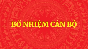 Ông Trần Huy Tuấn làm Bí thư Tỉnh ủy Ninh Bình