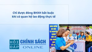 Chỉ được đóng BHXH bắt buộc khi có quan hệ lao động thực tế