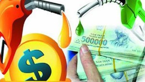 Chi tạm ứng 8.000 tỷ đồng cho Quỹ Bình ổn giá xăng dầu