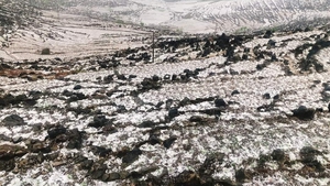 Chủ động ứng phó dông, lốc, mưa đá trong cao điểm chuyển mùa