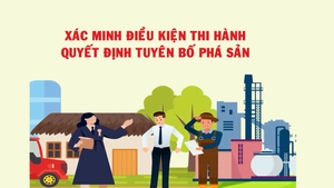 Xác minh điều kiện thi hành quyết định tuyên bố phá sản