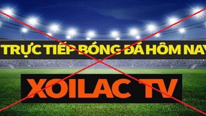 Khởi tố 30 bị can liên quan đến vụ án 'Xôi Lạc TV'